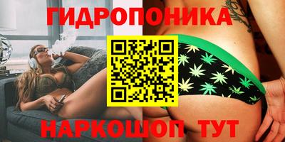 мяу мяу мука Лесосибирск