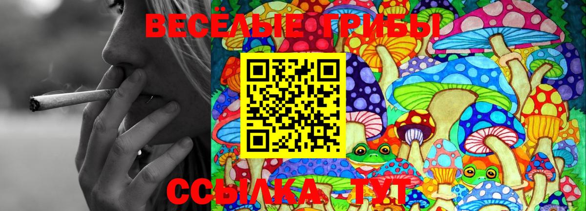 Галлюциногенные грибы MAGIC MUSHROOMS Гатчина