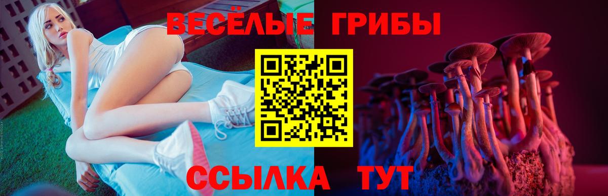 даркнет сайт  Вход с VPN  Гатчина  Псилоцибиновые грибы мухоморы 